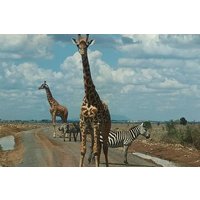 Nairobi Nationalpark Halbtägige Pirschfahrt