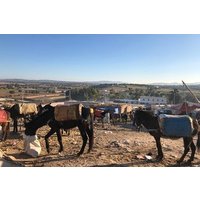 Berbermarkt in Ida Ogourd & Besuch Argankooperative (nur mittwochs)