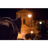 Palermos dunkle Schatten : Geister-, Verbrechens- und Verkostungstour