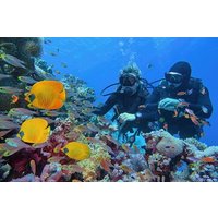 Hamata / Qulaan Inseln Tauchen Sea Trip Ganztagesausflug & Mittagessen-Marsa Alam