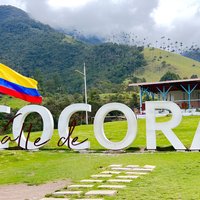 Private Tour durch Salento, Cocora und Filandia ab Pereira oder Armenien