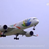 Privater Transfer vom Flughafen Chengdu Tianfu