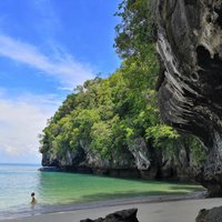 Halbtägige Mangroven-Tour in Langkawi - Basis teilen