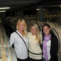 Weinberge Honig und schwarze Sandstrände von Auckland