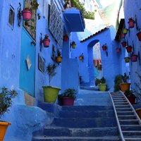Chefchaouen "Die blaue Stadt" Private Kulturreise "Ganztagesausflug von Tanger"