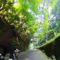 Bambuswald und mehr mit dem E-BIKE! Keine Menschenmassen, keine Profis nötig!