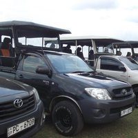 Die beste Safari-Tour vom Hafen Hambantota (Janaka Safari)