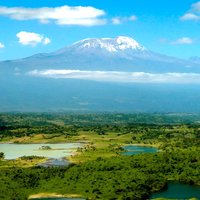 Aus Arusha: 7 Tage Klassische Safari Central Northern Circuit