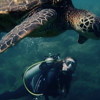 Kauais Ultimate South Shore 2 Tank Dive (nur für zertifizierte Taucher)