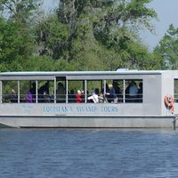 New Orleans Swamp Tour Bootsabenteuer mit Transport