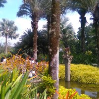 Der Landschaftsgärtner Burle Marx und sein Standort - Kulturerbe
