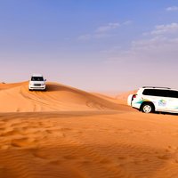 Geführte Wüstensafari mit Abendessen und Quadfahren in Dubai