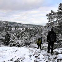 1-tägiges Naturwandern in kleiner Gruppe in Stockholm