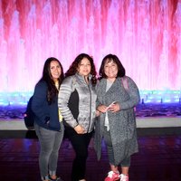 Magic Water Show und Dinner Show