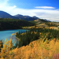 Skagway-Landausflug: Yukon Discovery Tour