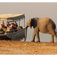 Ganztägige Chobe-Safari: Pirschfahrt & Bootssafari mit Mittagessen