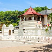 14 Tage / 13 Nächte -Sri Lanka Tour über Kultur, Wildtiere & Strände