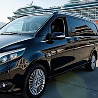 Privater Transfer vom Flughafen Triest oder Stadt nach Pula, Rovinj