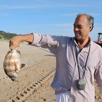 Arrabida: private Tour ab Lissabon mit Fischer-Mittagessen in Setúbal