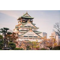 Osaka private Luxus-Fahrzeug-Tour: Frei angepasst
