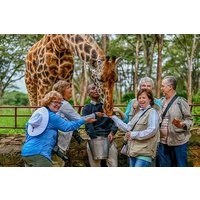 Giraffenzentrum Halbtagesausflug von Nairobi