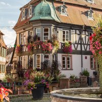 Kleine Gruppenführung im elsässischen Dorf von Straßburg aus